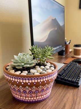 Hand Painted Wide Planter – Terracotta Succulent Pot . Unique Artisan Gift
